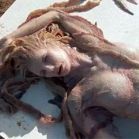 Xôn xao “xác nàng tiên cá“ tìm thấy trên bãi biển