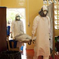 Tin tức trong ngày - Mỹ đã có vũ khí chống lại "virus sát thủ" Ebola?