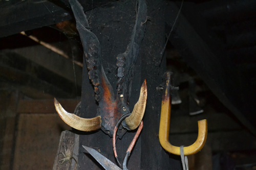 “Vua thợ săn” miền Đông Bắc kể chuyện bắt thú rừng - 4