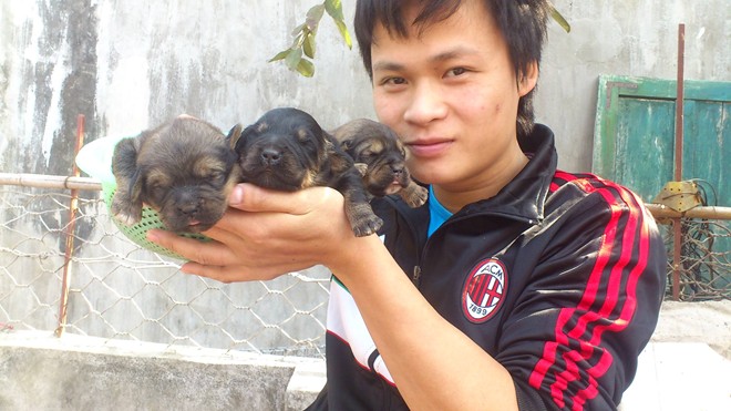 8X Việt nuôi chó đắt nhất hành tinh thành đại gia - 1