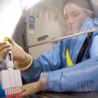 Tin tức trong ngày - WHO xem xét cho lưu hành "thần dược" chữa Ebola