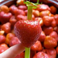 Ẩm thực - Bật mí những tuyệt chiêu ăn uống vô cùng thú vị