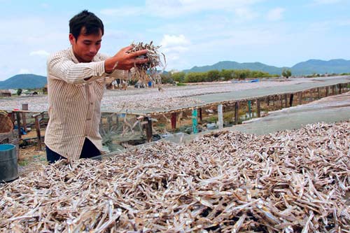 Chợ cá khô 30.000 đồng/kg ở biển Bà Rịa - Vũng Tàu - 9