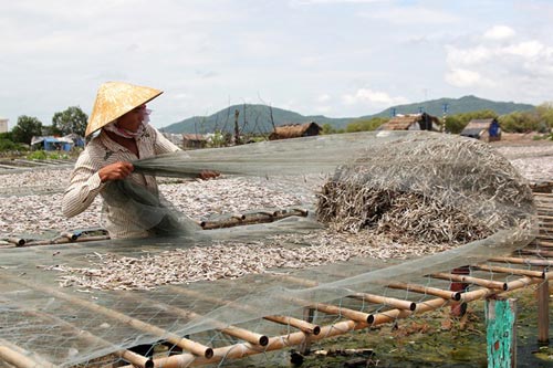 Chợ cá khô 30.000 đồng/kg ở biển Bà Rịa - Vũng Tàu - 10