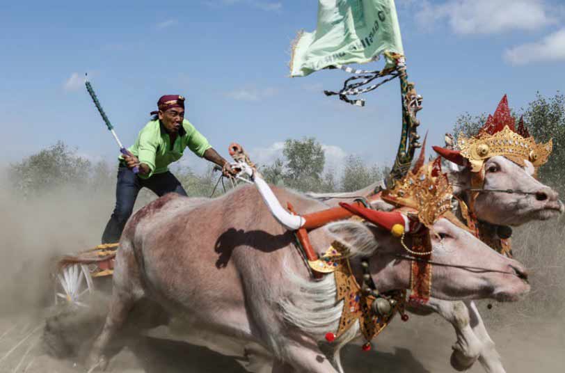 Ảnh ấn tượng: Thi hôn ở Trung Quốc - 10