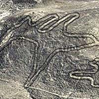 Phi thường - kỳ quặc - Phát hiện các hình vẽ kỳ bí của người Nazca cổ đại