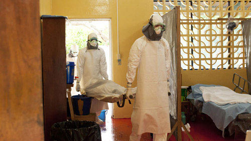 Ai có nguy cơ nhiễm vi rút chết người Ebola? - 1