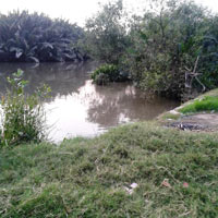 Tin tức trong ngày - Xuống rạch tắm “giải nhiệt”, bị nước cuốn mất tích