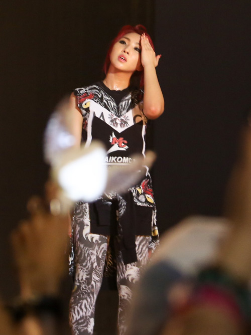 2NE1 khiến fan Việt bấn loạn - 5