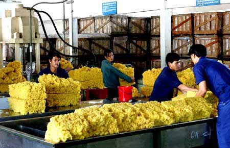 Nông sản xuất sang Trung Quốc tiếp tục gặp khó khăn - 1