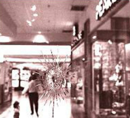 Nữ sát nhân và vụ xả súng ở trung tâm thương mại (Kỳ 2) - 1