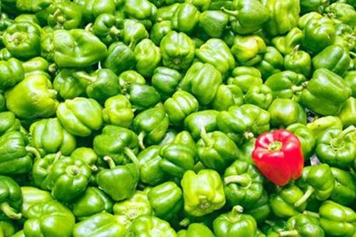 10 thời điểm tốt nhất để chuyển việc - 8