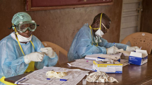 "Thần dược" trị Ebola hết sạch ngay tuần đầu tiên - 1