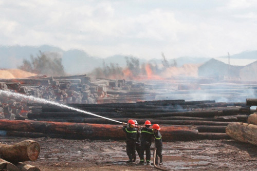 Vụ cháy ở Cảng Quy Nhơn: Thiệt hại trên 50 tỉ đồng - 1
