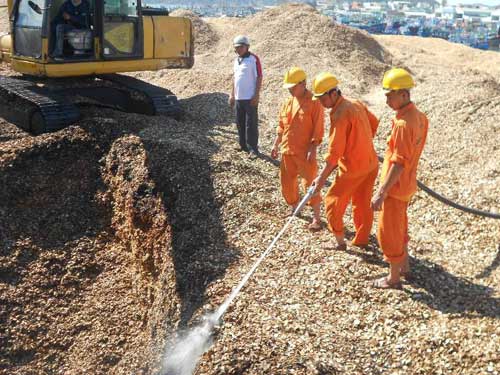 Vụ cháy ở Cảng Quy Nhơn: Thiệt hại trên 50 tỉ đồng - 3