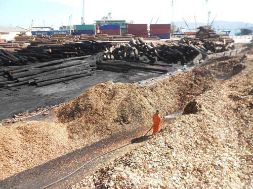 Vụ cháy ở Cảng Quy Nhơn: Thiệt hại trên 50 tỉ đồng - 2