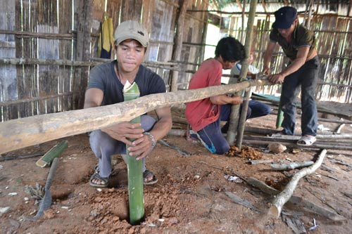 Người Cor chặt lồ ô dựng lều “lo chữ” cho con - 6