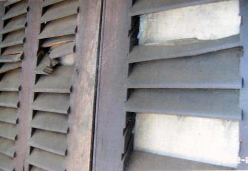 Nam sinh được tuyên vô tội sau gần 3 năm bị bắt oan - 2