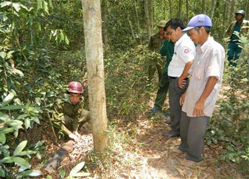 Tử vong vì cưa bom đạn: Những cái chết không đáng - 2