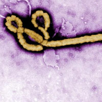 Singapore phủ nhận thông tin có trường hợp nhiễm Ebola