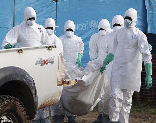 Tây Phi: Đối phó Ebola bằng hàng rào, súng đạn - 1