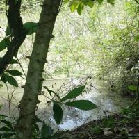 Pháp luật - Xác cô gái lõa thể dưới ao: Bắt "phi công trẻ"