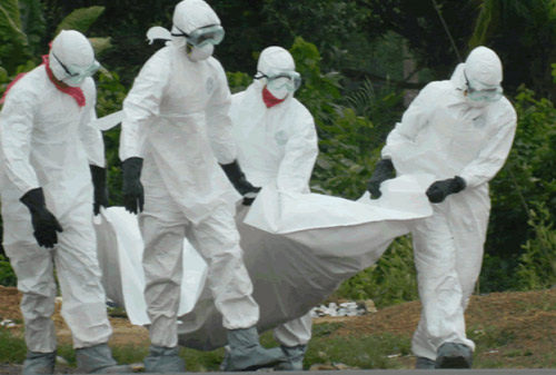WHO: Thế giới đã quá coi nhẹ đại dịch Ebola - 1