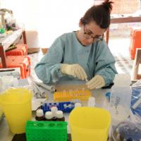 Mỹ: Tràn lan thuốc điều trị Ebola giả trên mạng