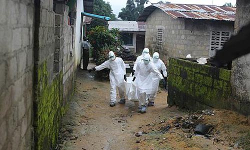 Hình ảnh đau lòng về dịch Ebola tuần qua - 2