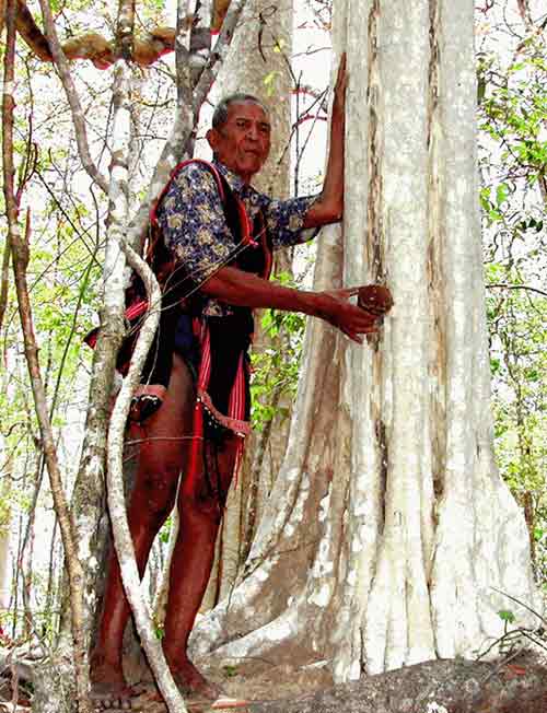 Thời… sinh lý yếu! - 3