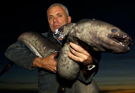 10 "quái vật đại dương" gieo rắc nỗi sợ hãi - 8