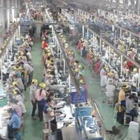 Giáo dục - du học - “Bi hài” cử nhân giấu bằng, xin làm công nhân: Phải biết... chửi nhau