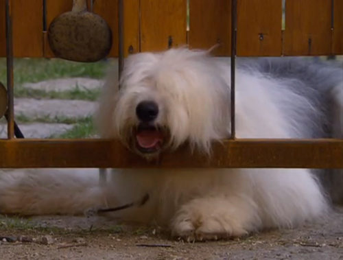 8 căn hộ siêu sang trên màn ảnh Hàn - 11