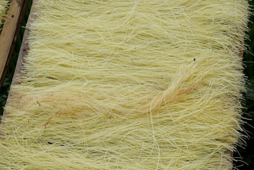 Vì sao mì, miến bán ngoài chợ có giá rẻ? - 3