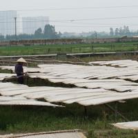 Thị trường - Tiêu dùng - Vì sao mì, miến bán ngoài chợ có giá rẻ?