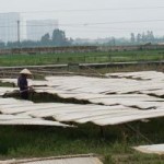 Thị trường - Tiêu dùng - Vì sao mì, miến bán ngoài chợ có giá rẻ?