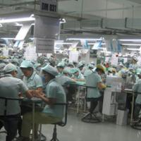 Giáo dục - du học - “Bi hài” cử nhân giấu bằng, xin làm công nhân để... lấy tiền “chạy” biên chế