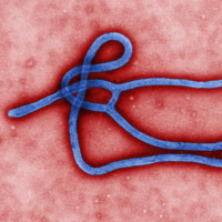 Nguy cơ Ebola vào Việt Nam tăng dần