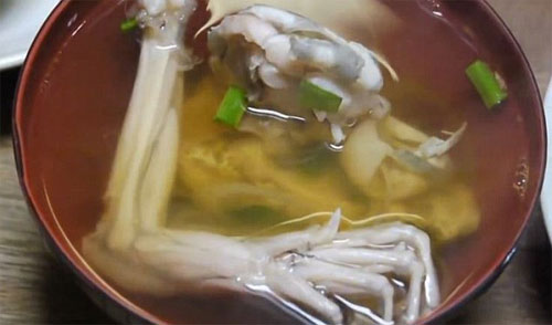 Kinh hoàng với món ếch “tươi” của nhà hàng Nhật Bản - 4