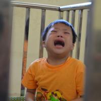 Tin tức trong ngày - Trẻ ở ngôi nhà mới đòi về lại chùa Bồ Đề