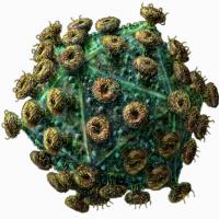 5 loại virus tử thần còn nguy hiểm hơn cả Ebola