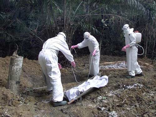 5 loại virus tử thần còn nguy hiểm hơn cả Ebola - 1