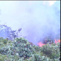 Tin tức trong ngày - Cháy lớn kèm theo tiếng nổ trên rừng Nam Hải Vân