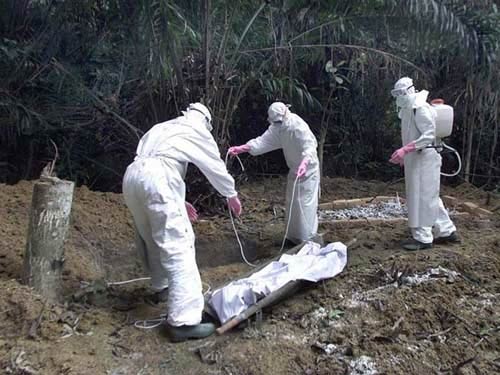 Hai ngày, hơn 100 người tử vong do virus Ebola - 1