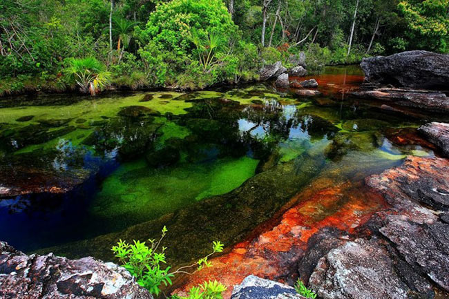 22. Sông Cano Cristales, Colombia:&nbsp;Sông Cano Cristales tọa lạc bên trong khu bảo tồn quốc gia Macarena – một khu bảo tồn có diện tích lên tới 3.900 km vuông. Dòng sông này còn được người dân địa phương gọi là sông Ngũ Sắc hay sông Cầu Vồng, bởi màu sắc đa dạng của nó. Vào thời điểm chuyển giao giữa mùa mưa và mùa khô, một loại cây mọc dưới lòng sông có tên macarenia màu xanh lá chuyển sang màu đỏ tươi, cam vàng và nâu sậm.
