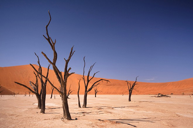 33. Sossusvlei, Namibia:&nbsp;Được coi là một trong những thiên đường thiên nhiên ngoạn mục nhất thế giới, không khó hiểu vì sao khi Sossusvlei trở thành điểm thu hút khách du lịch nhất của Namibia. Những cồn cát được hình thành từ hàng triệu năm trước từ những bụi cát bay từ dòng sông Orange tới Atlantic. Gió thổi từ hàng triệu năm qua đã “điêu khắc” Namibia thành những cồn cát cao nhất thế giới. Cát ở đây có màu đỏ của sắt oxit, tuy trông khô cằn nhưng nó vẫn giữ đủ độ ẩm cần thiết cho thực vật sinh sống.
