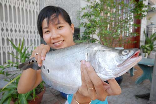 Thu lãi lớn nhờ nuôi cá đặc sản ở miền Tây - 5