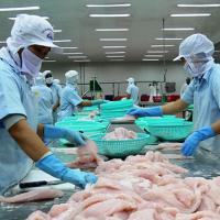Thị trường - Tiêu dùng - Thủy sản Việt muốn Nga mở rộng cửa