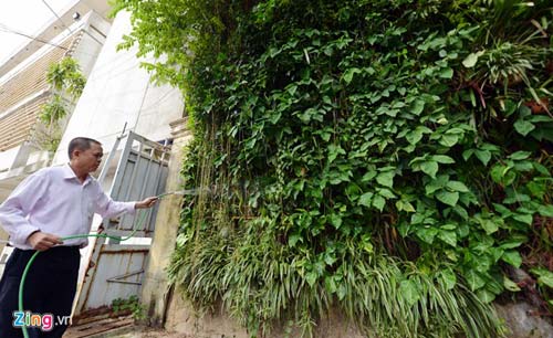 Người Hà Nội chi 1,5 tỷ đồng phủ cây xanh kín nhà - 9