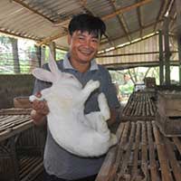 Cẩm nang tìm việc - Nuôi thỏ, bỏ túi cả trăm triệu đồng